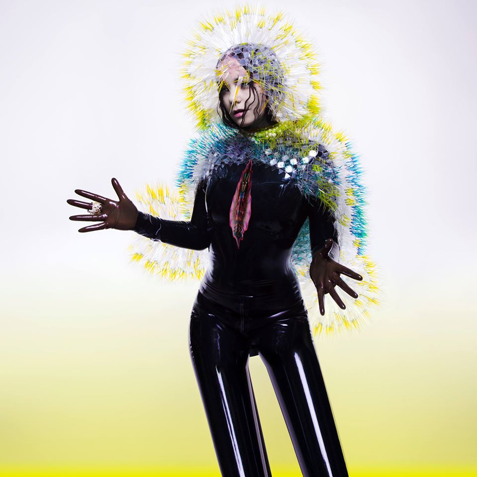 bjork - vulnicura